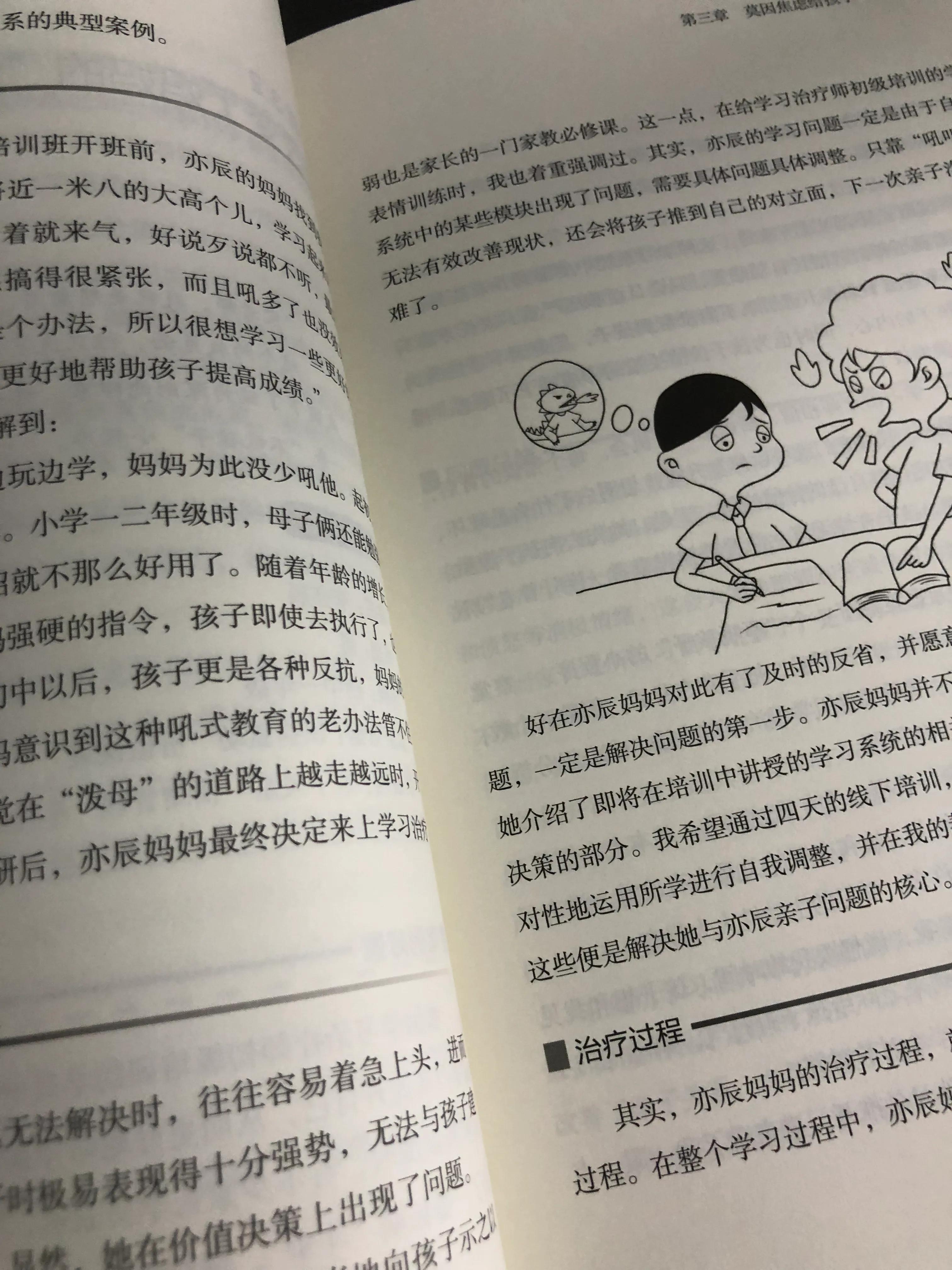 好书推荐-《学习治疗手记》