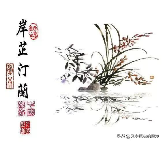 一天【学】一成语:岸芷汀兰