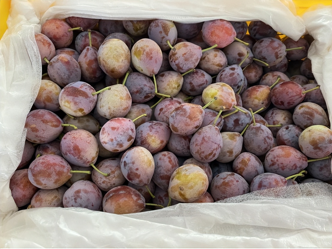 ▶特区•关注民生|库鲁斯社区：人大代表践初心助农销售显担当