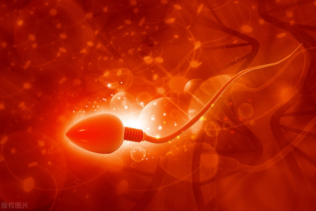 精子进入体内的24小时，都经历了什么？