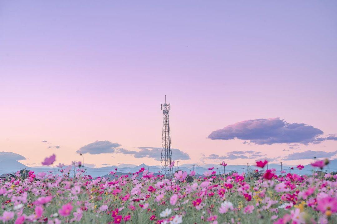 下雨伤感的句子带人生感悟,下雨伤感的句子100字