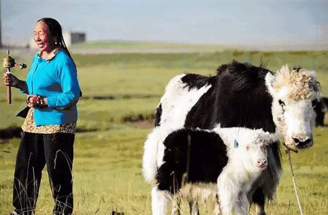 台湾女富二代,台湾富二代女孩