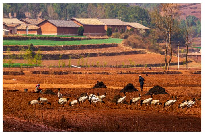 周崇光介绍,周崇光图文