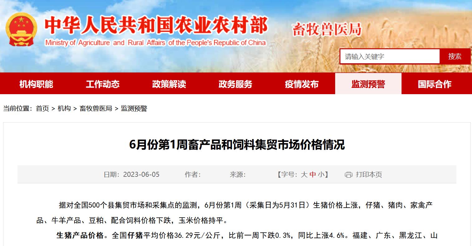 猪价及全国养殖走向,猪价回落养猪