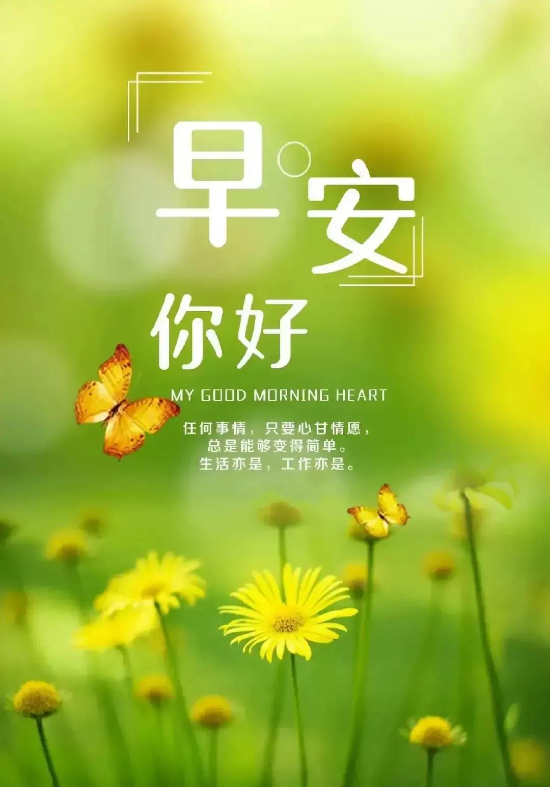 每日早安祝福金句文案短句,早安问候语正能量简短朋友圈文案