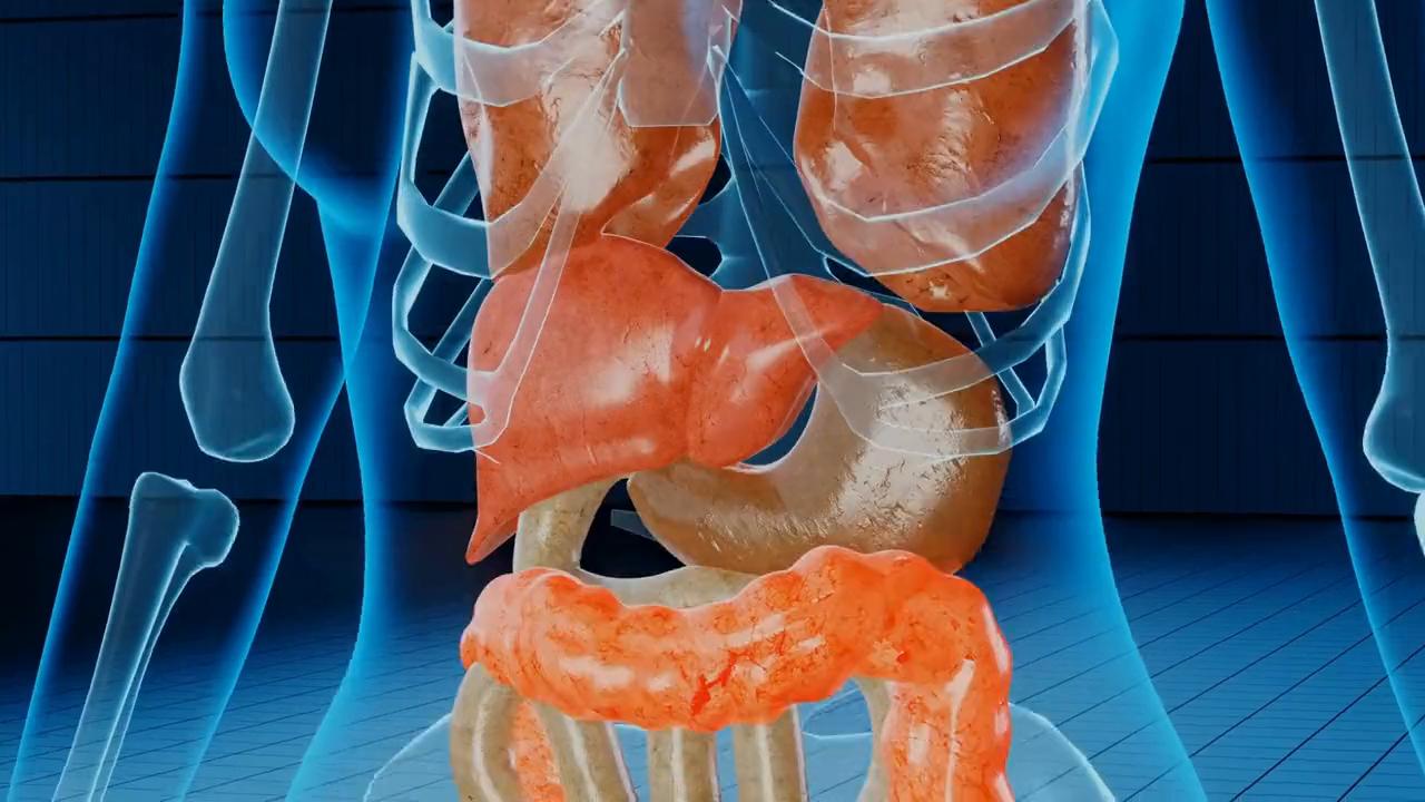 如果你连续7天不睡觉,身体会发生怎么样的变化呢?#科普知识