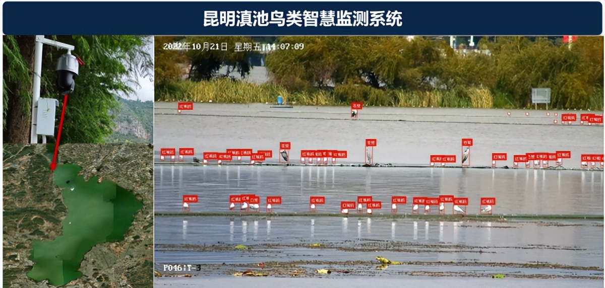 杭州钓鱼男子救人,广东男子在河边救下一只怪鸟