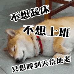 上班时间犯困吃什么零食提神,熬夜上班犯困吃什么提神