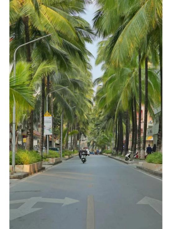 落叶知秋愿所有美好如期而至,落叶知秋愿所有美好不期而遇