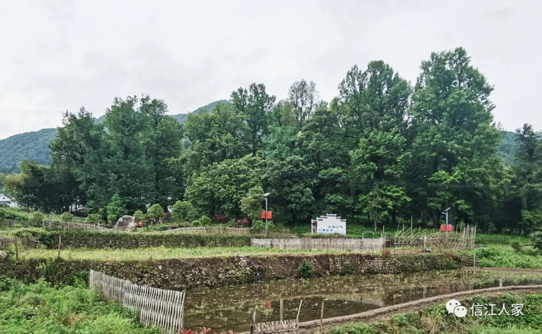 婺源美景之篁岭,婺源篁岭世外桃源