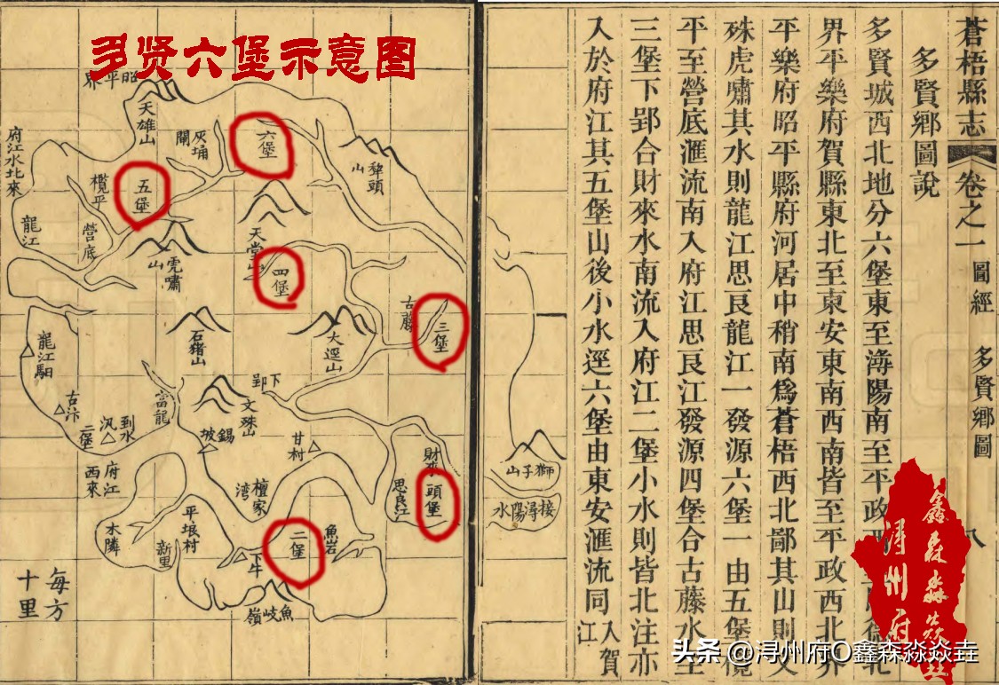 广西梧州六堡茶的故事,广西六堡茶地理知识