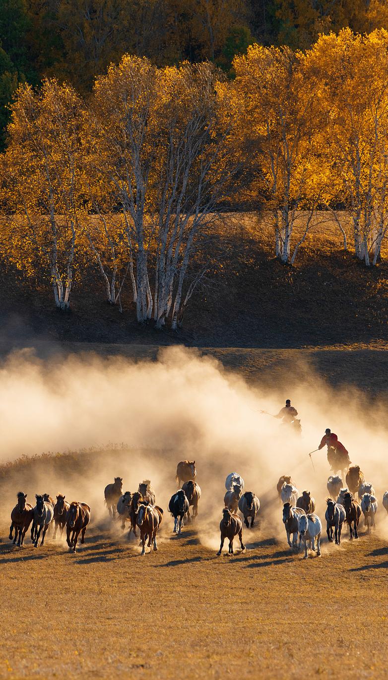 内蒙古是不是天短夜长啊,你觉得内蒙古好吗