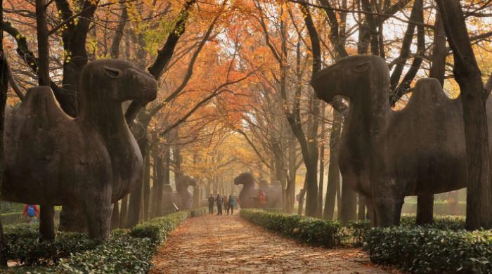 50个必去景点排行榜南京夫子庙,南京除了夫子庙还有什么旅游景点