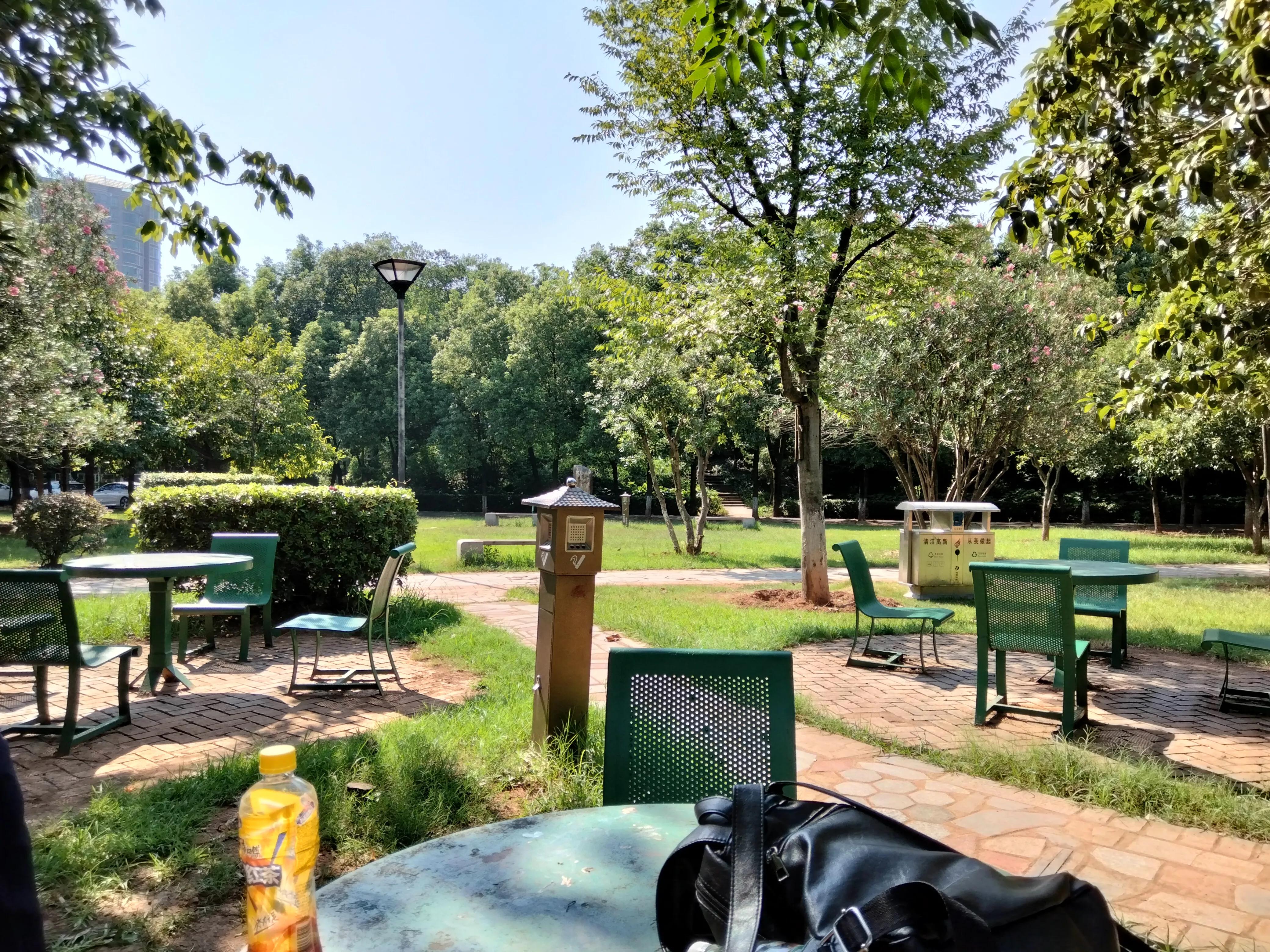 平湖明湖公园攻略,平湖公园免费景点