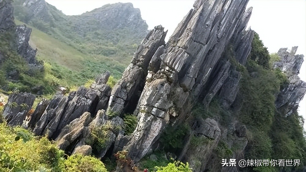 海岸线：邂逅*江阳**——感受这座慢节奏小城文化底蕴感悟人文之美