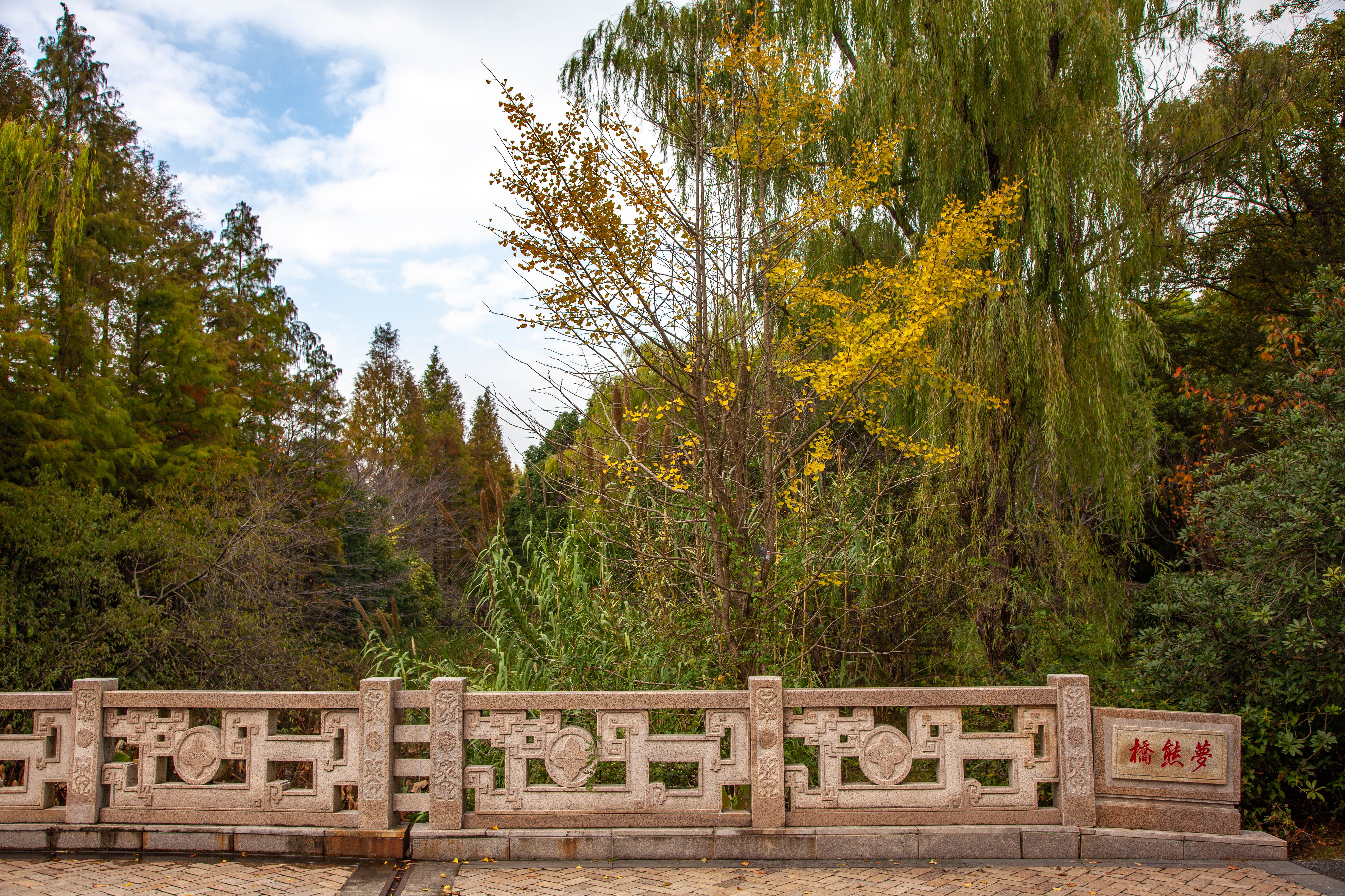 宝山顾村历史,上海宝山顾村老街