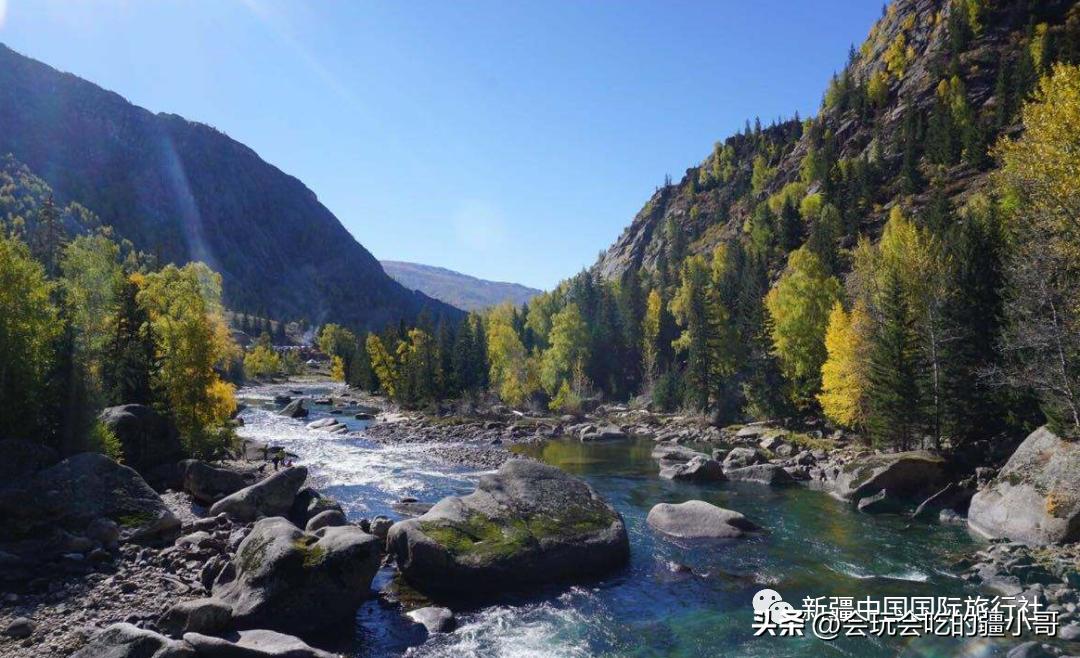 家庭商务车8人座,家庭车7座旅游车推荐