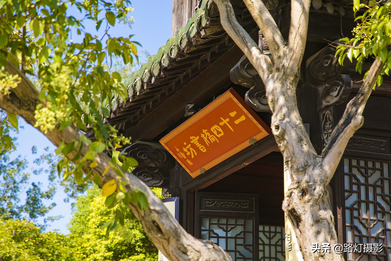 中国最美城市排名扬州,中国三月最美的地方扬州