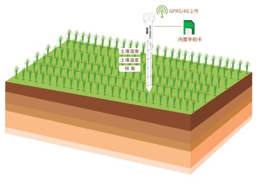 四情监测是什么意思,农业四情监测系统