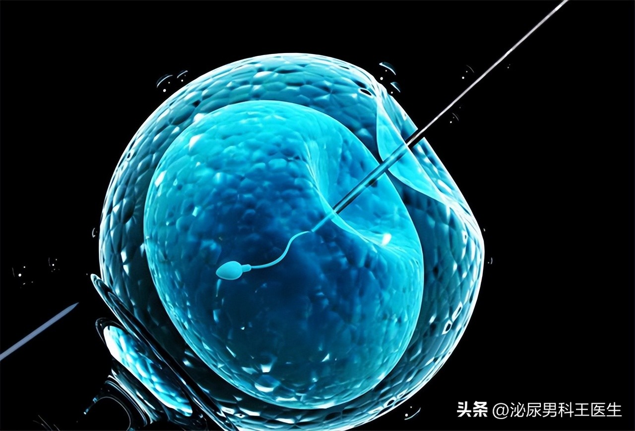 进入女性体内，没有成功“受精”的精子，都怎样了？