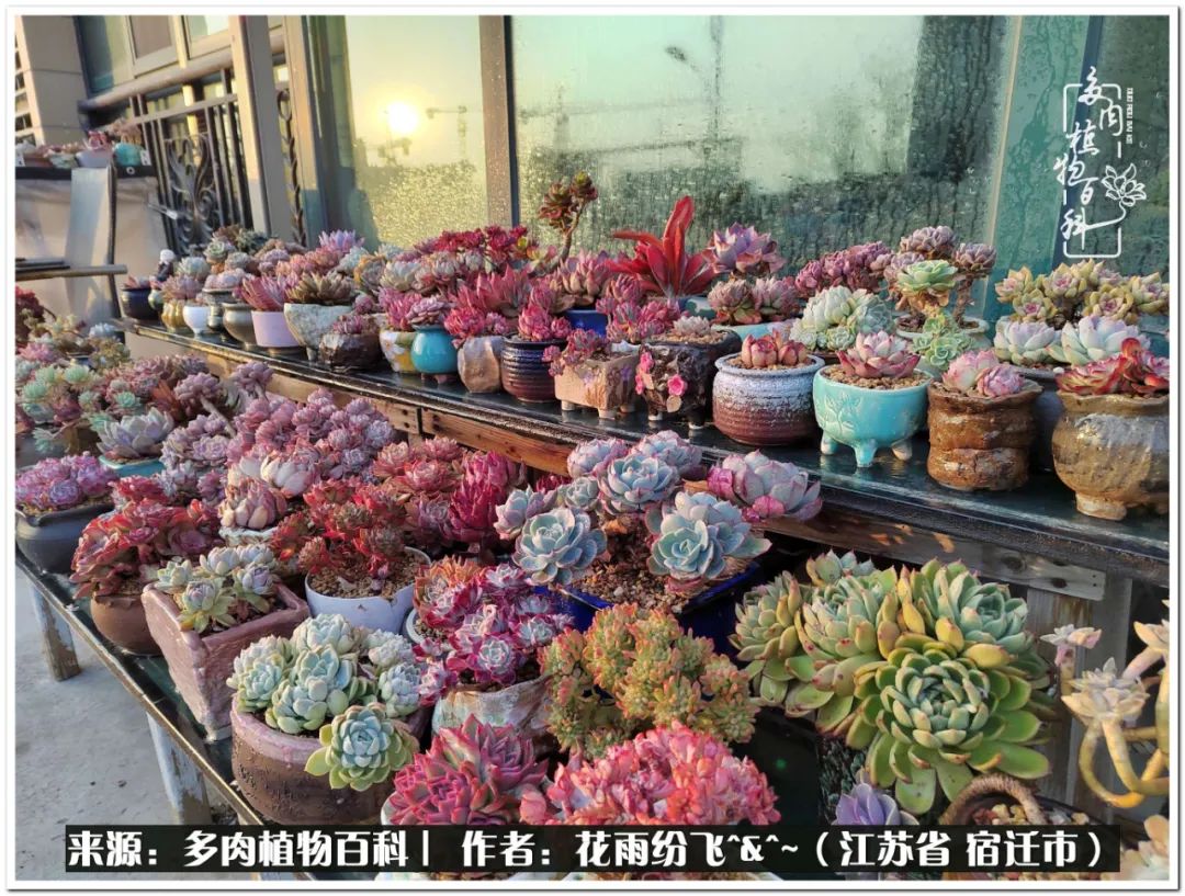 快乐的童年时光视频,回味快乐的童年美好的时光