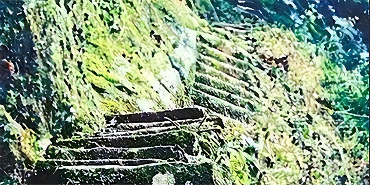 漂亮寡妇偷吃“*果禁**”，携19岁小伙隐居深山50年，创造了人间奇迹