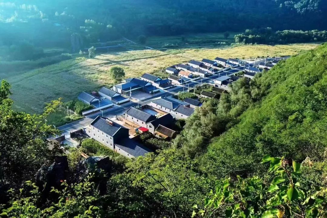 乡村振兴100讲全集,100个经典乡村振兴案例