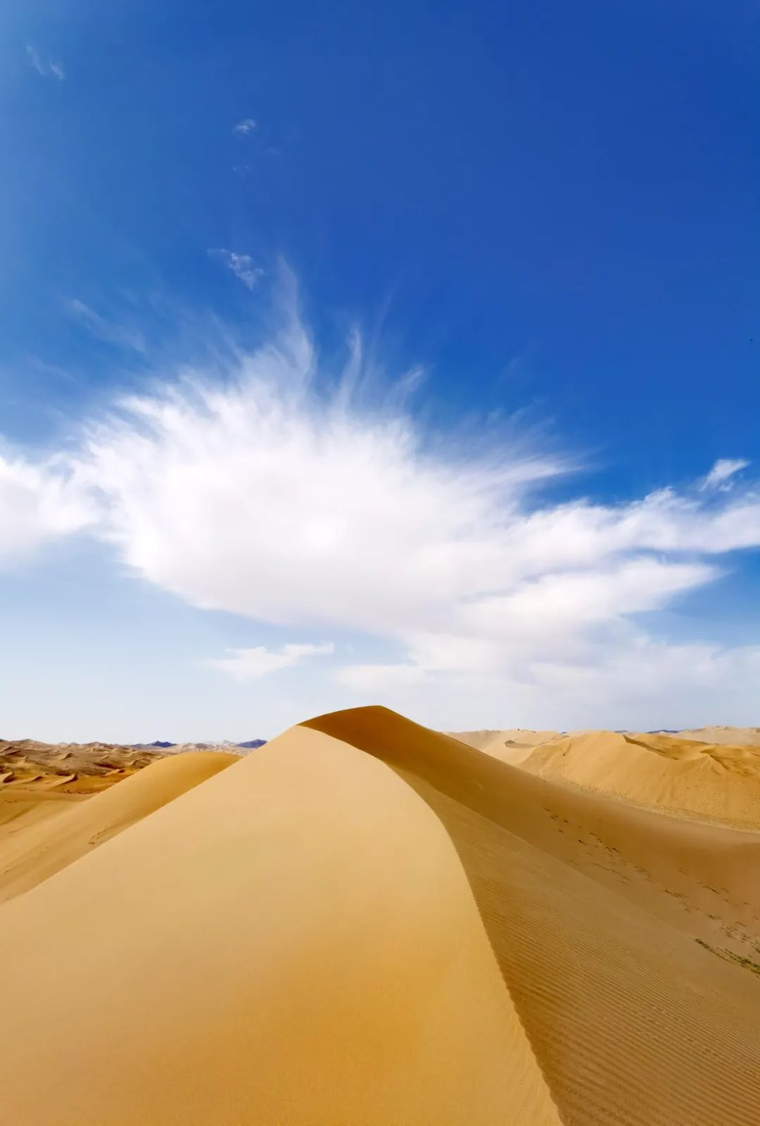 暑假游玩5天推荐的好地方,暑假值得去的旅游地点