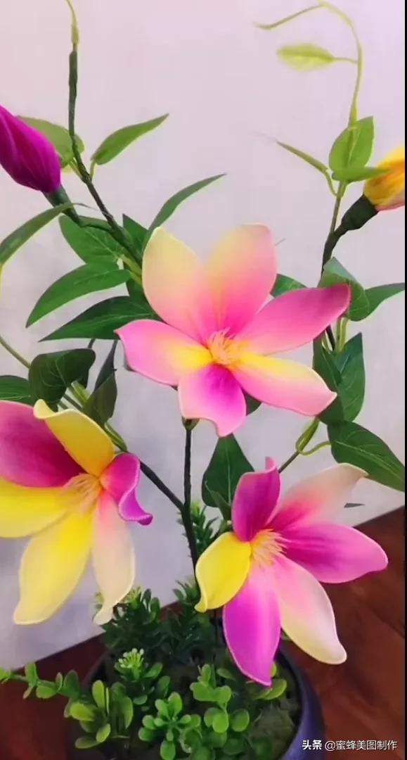 高手在民间根雕做得栩栩如生,看起来很牛逼的手工制作