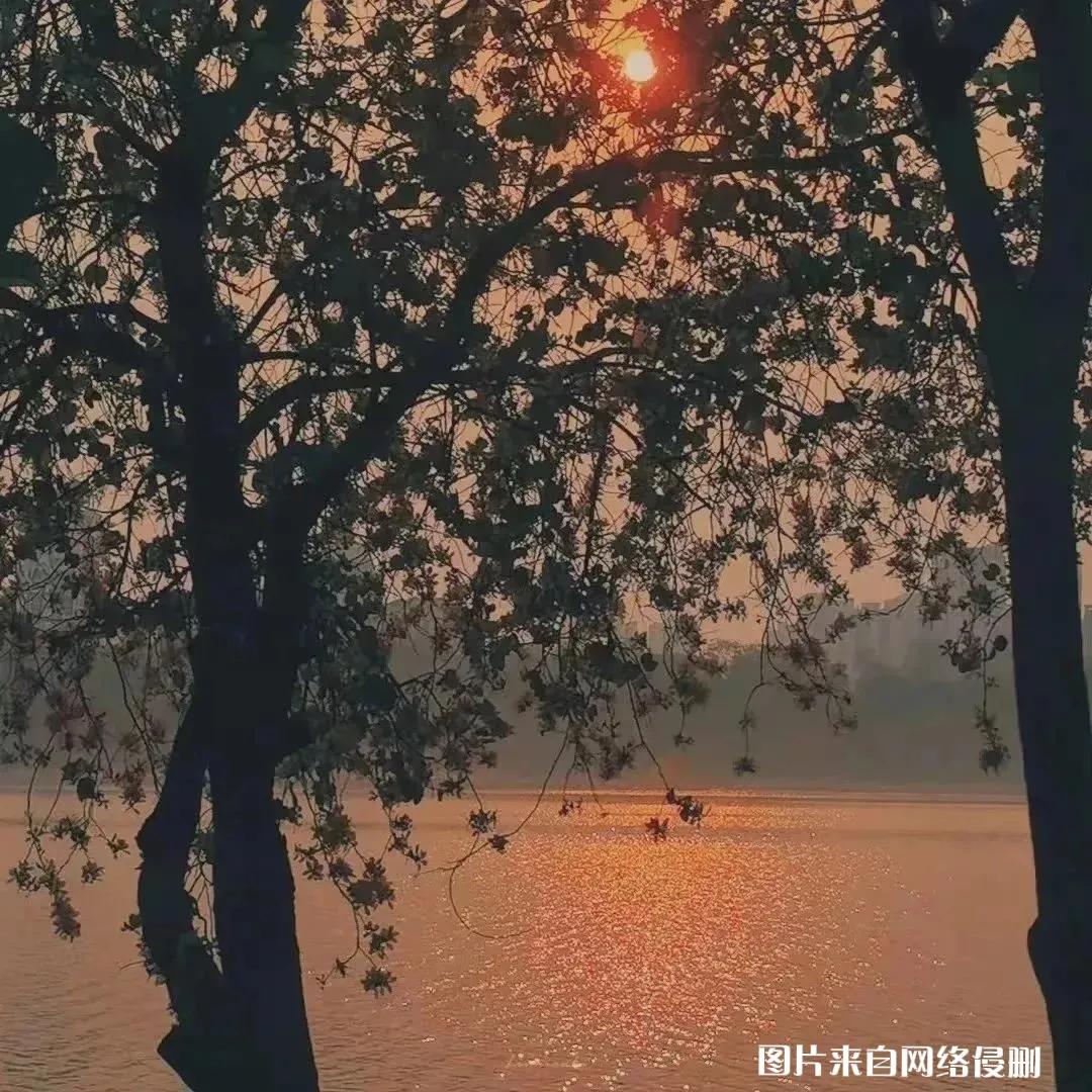 好听车载dj歌曲大全100首,好听的歌曲排行榜10首