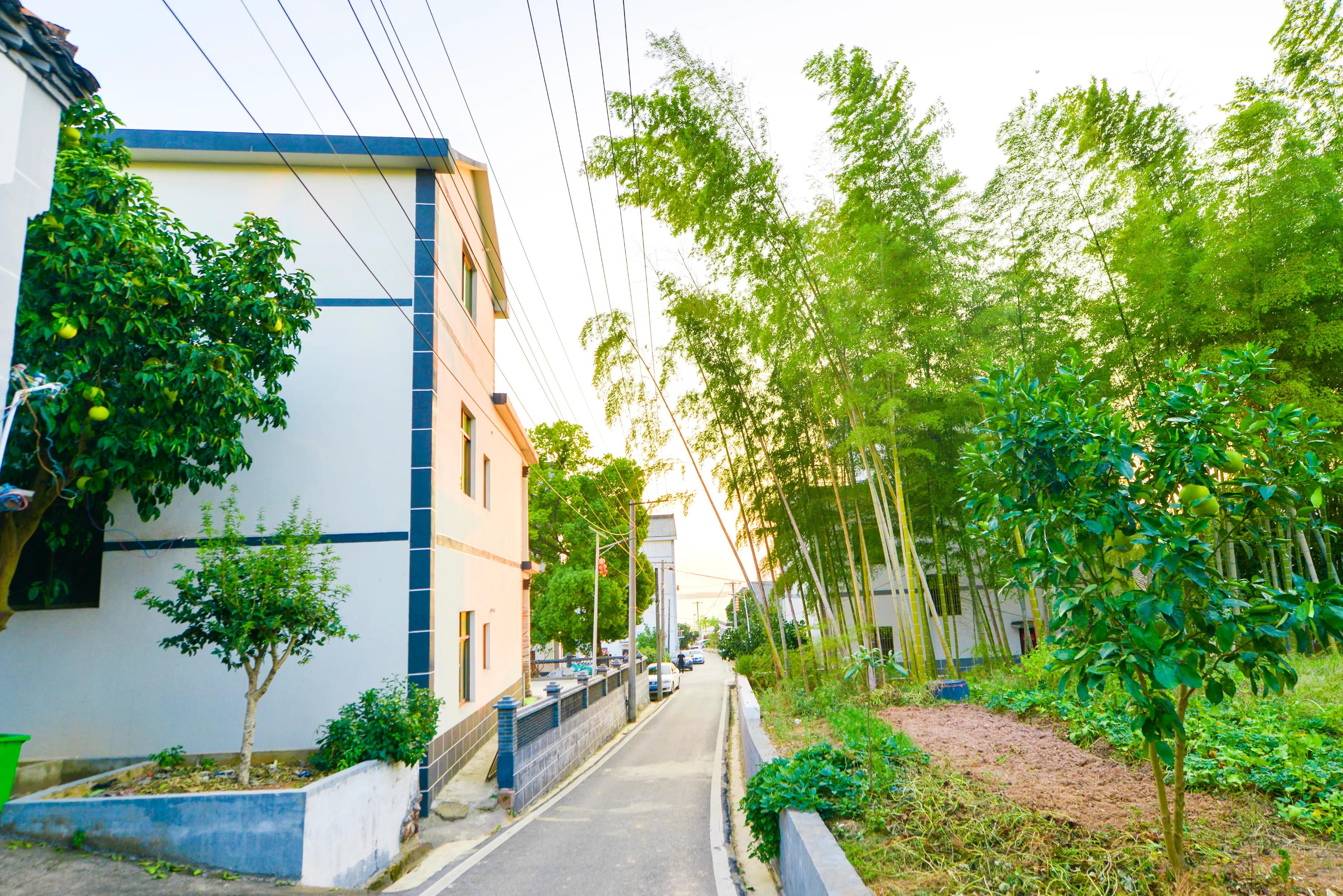 鄱阳湖边狮子山，风景如画，是个不错的休闲度假之地