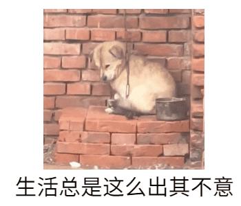 来了大姨妈时头好晕是怎么回事,来大姨妈会晕过去吗