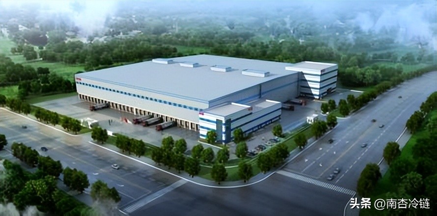 医药冷链是冷链物流里的蓝海吗,冷链行业的未来趋势