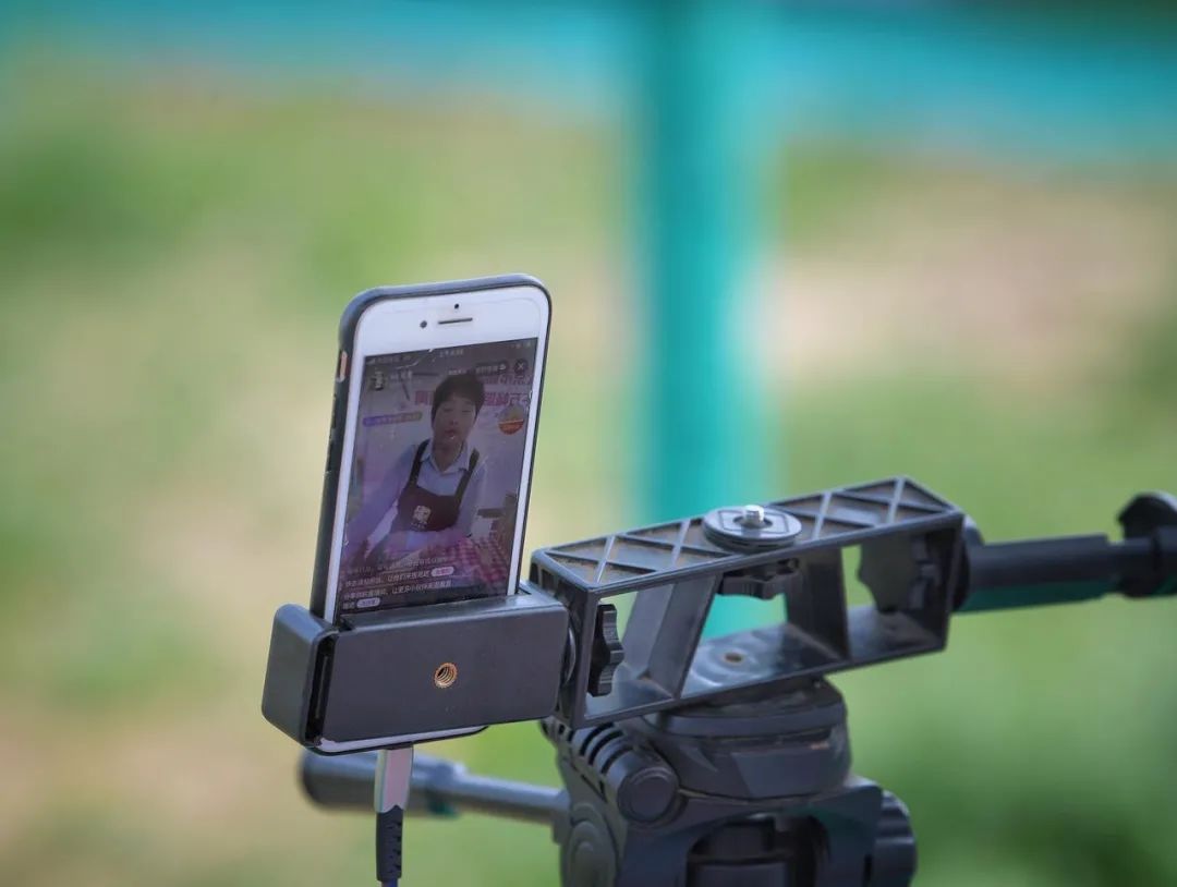 导游不带团可以免费旅游吗,导游无资格证带团违法吗