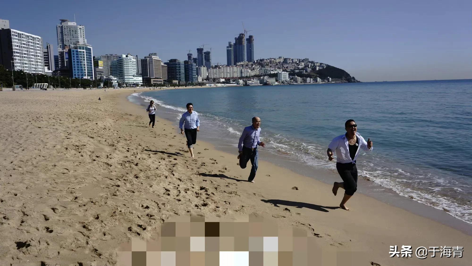 如何评价于海青,于海青资料