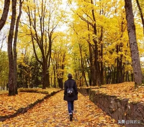 结婚二十年的感慨,结婚二十年