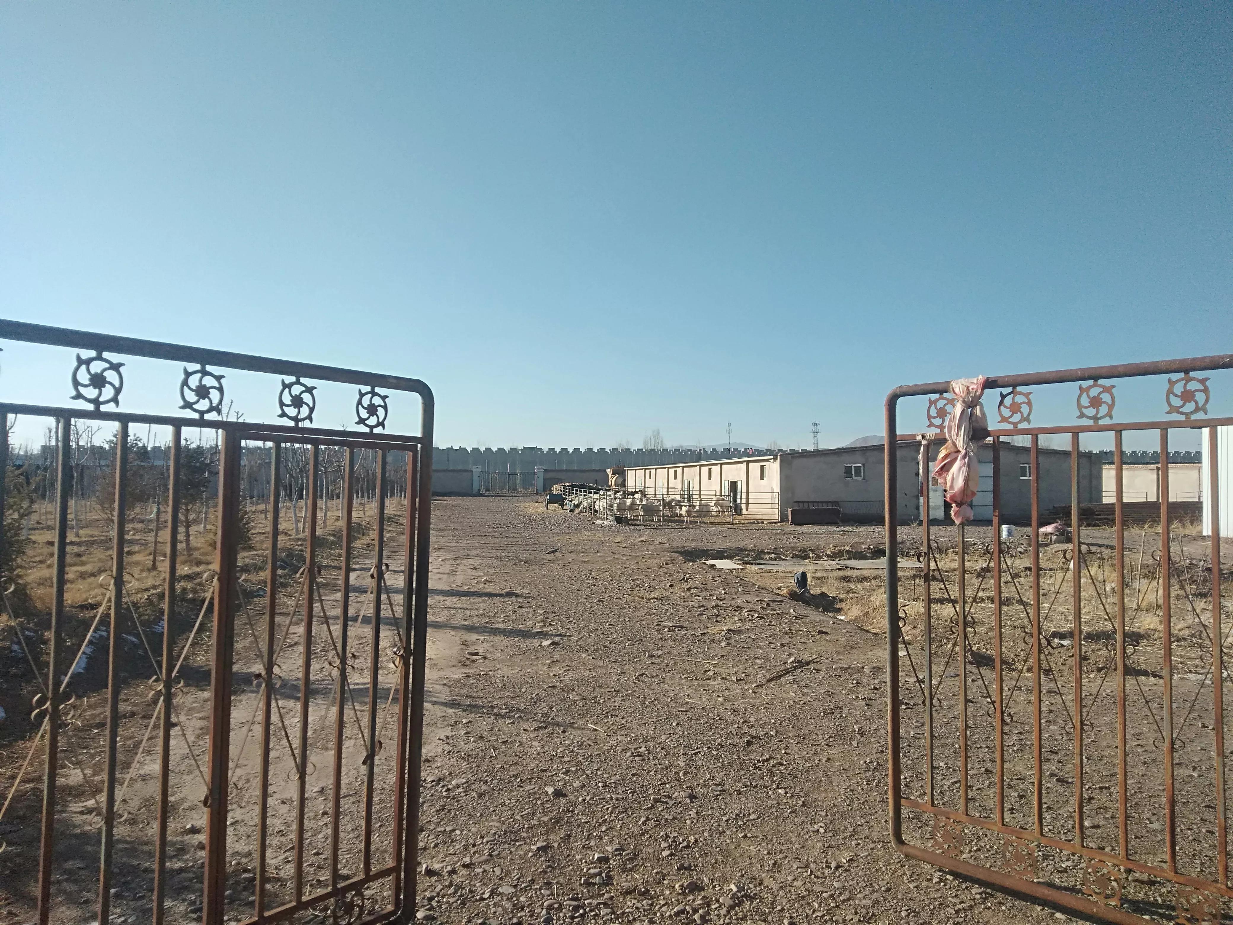 养30只母羊3年能发展到多少只,50只基础母羊一年能卖多少钱