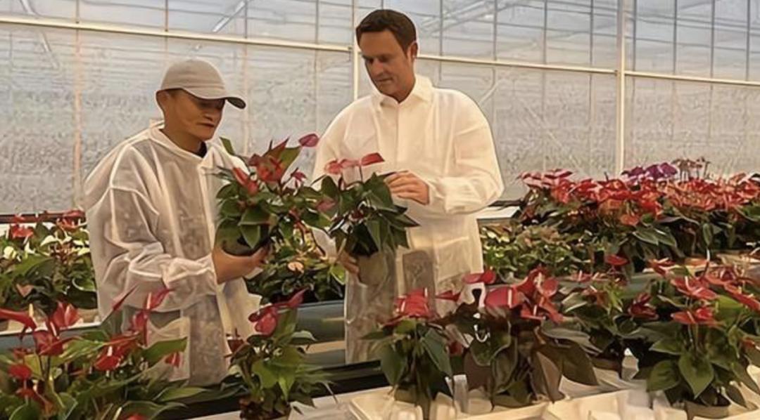 马云“消失”那段时间，他都干了什么？