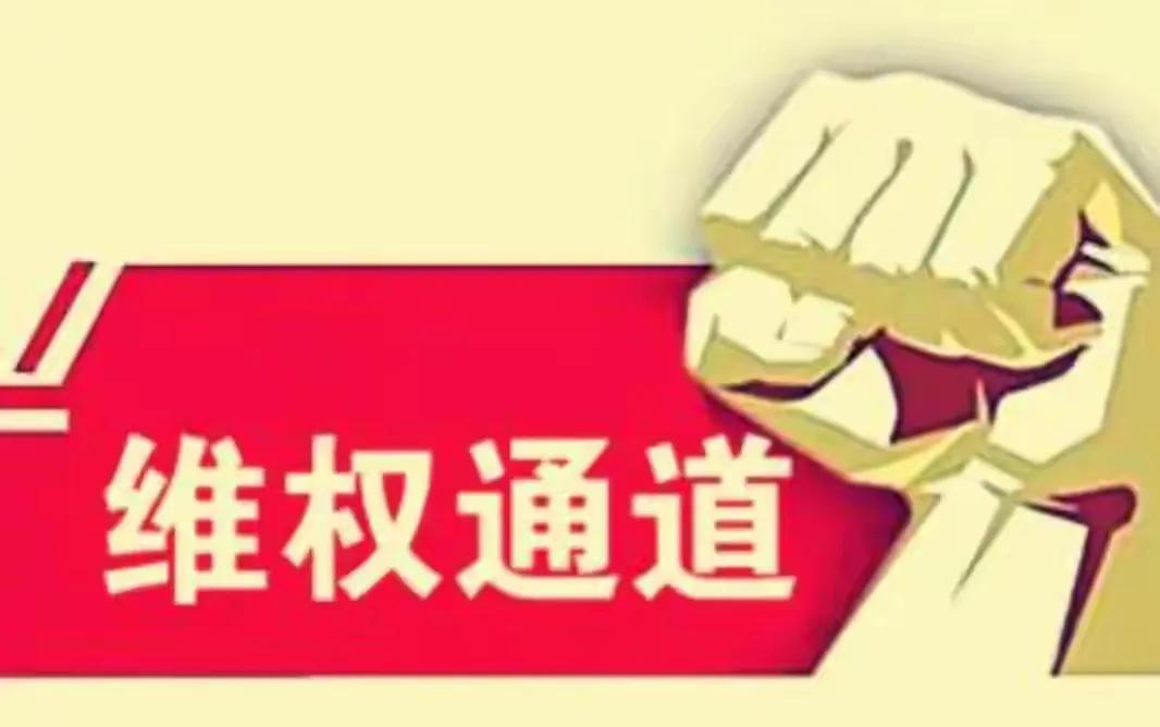 双十二攻略推荐,双十二宝典