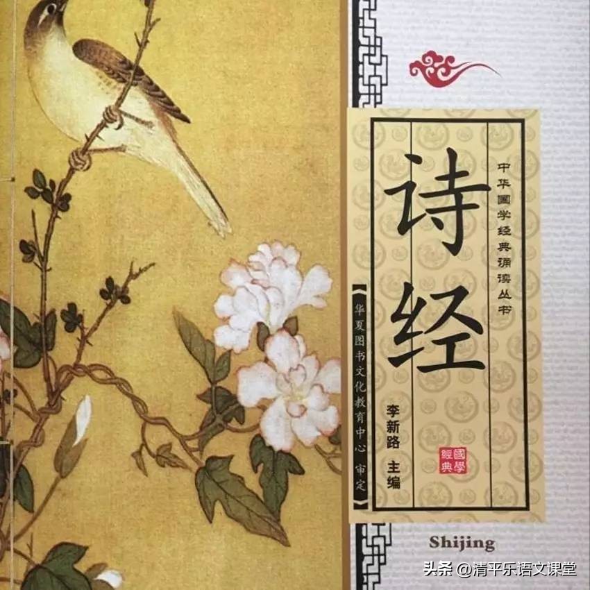 蒹葭原文及翻译八年级下册,蒹葭古诗鉴赏中考题