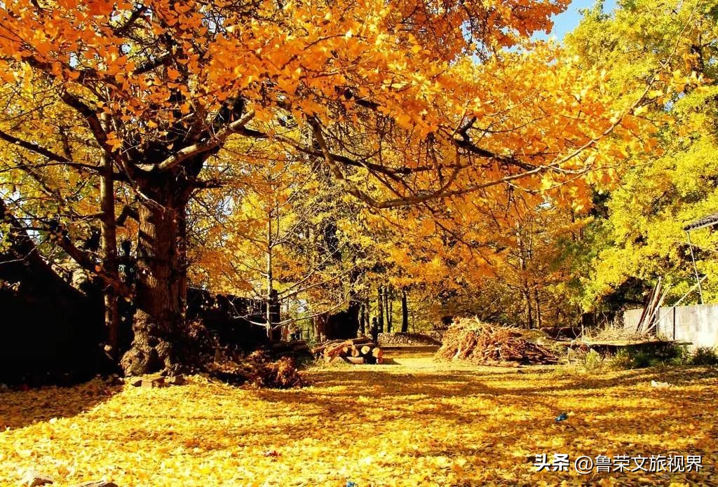 国内必去的最美的60个地方,必去的中国最美的五十个地方