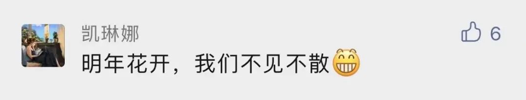 为什么要考大工？留言区给你答案！