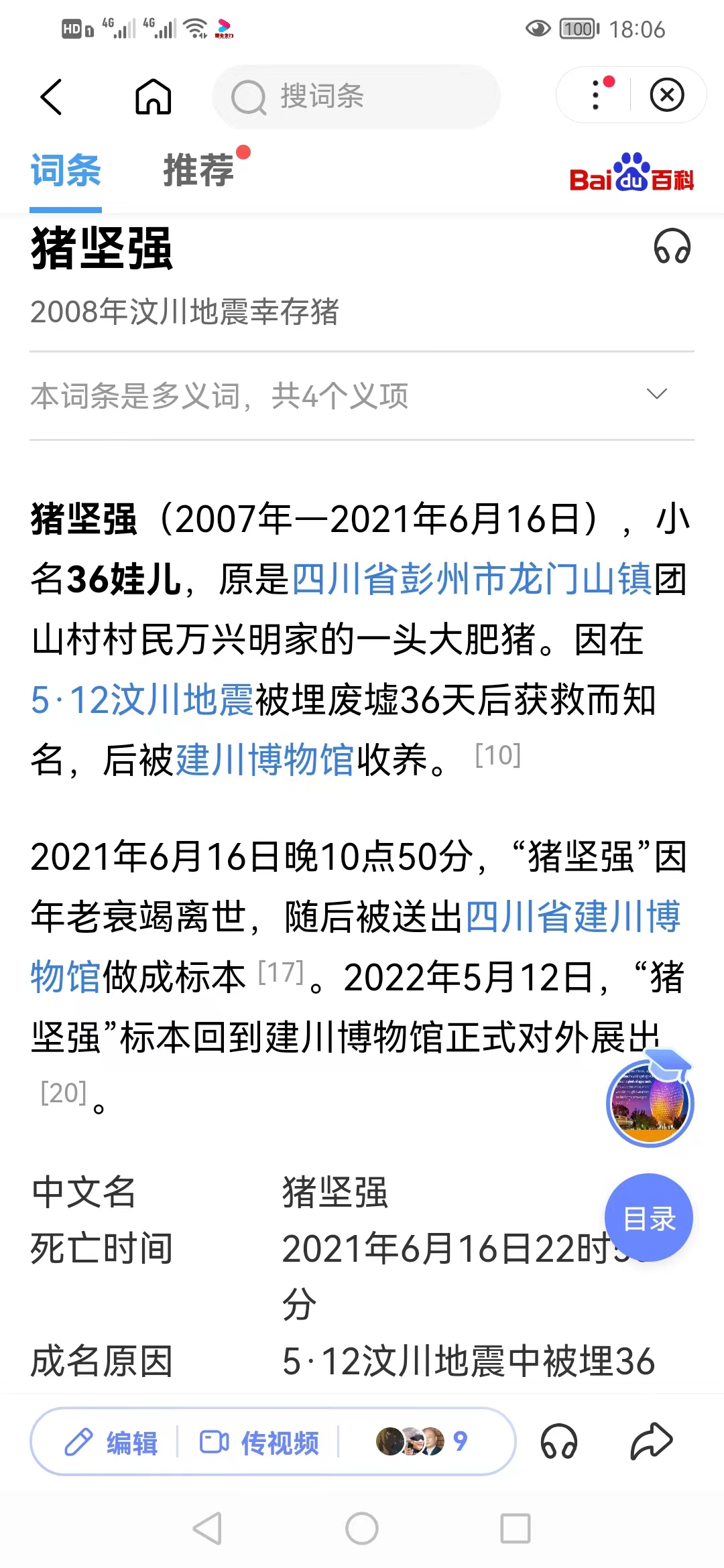 猪坚强能有多坚强,猪坚强我们凭什么不坚强