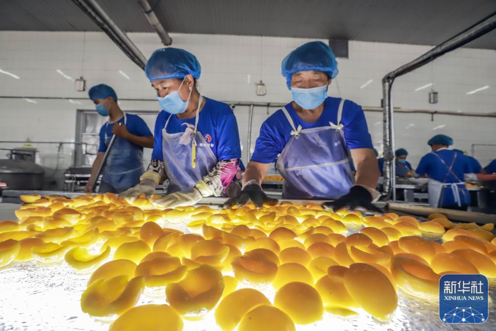 遵化食品加工业帮农增收30亿元,遵化农产品加工忙