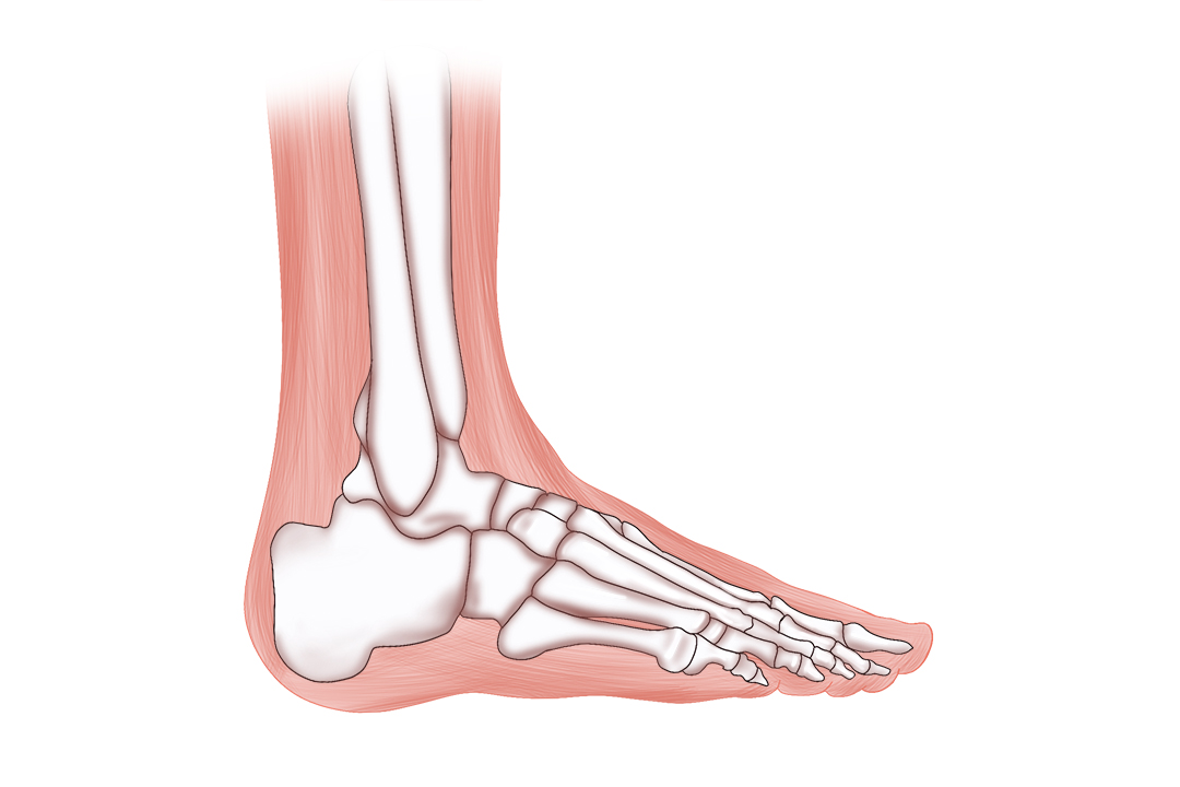 4味中药治风湿关节痛,四种治风湿的草药