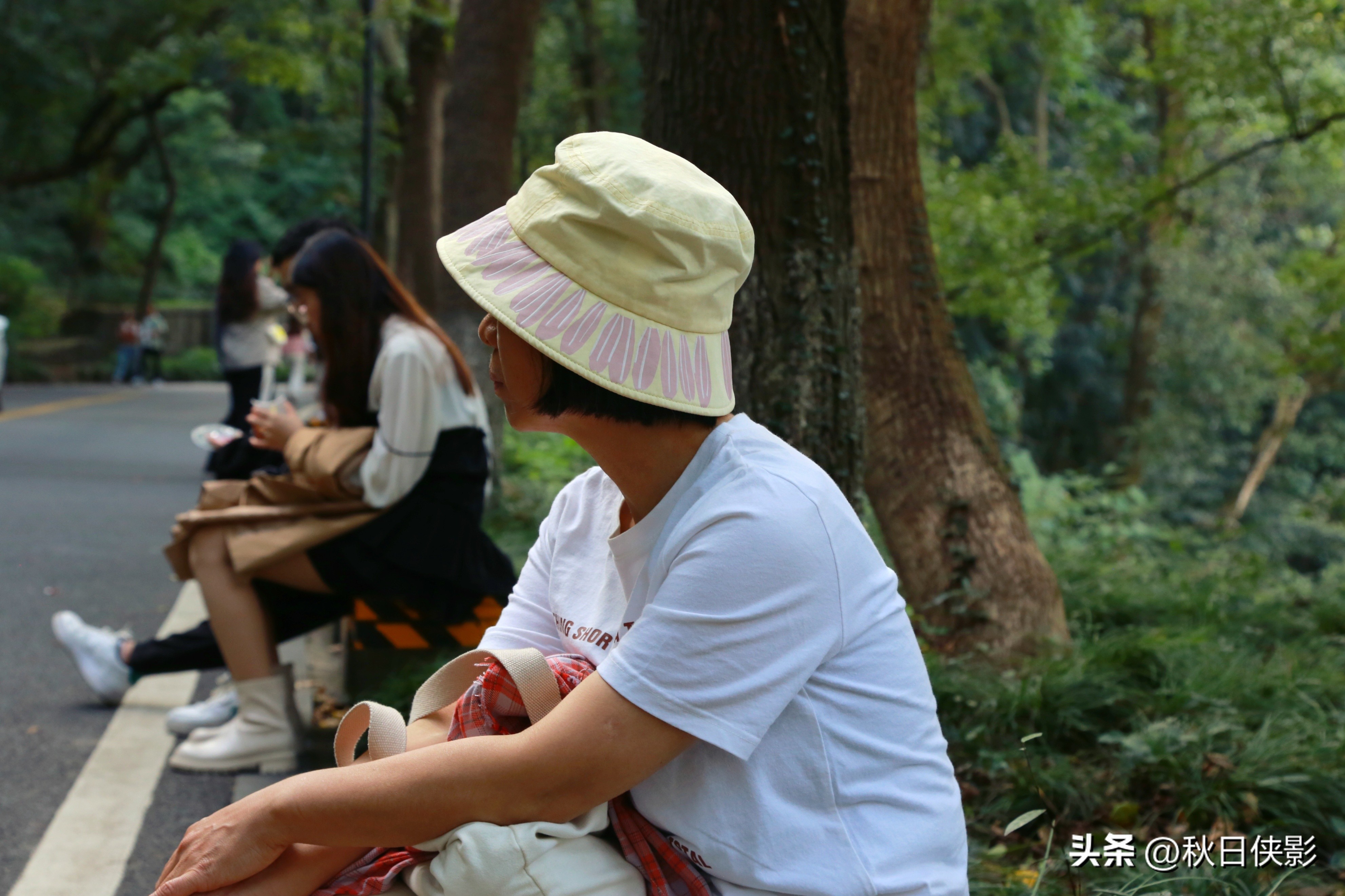 杭州赏桂花最佳处,杭州看桂花的最佳地方