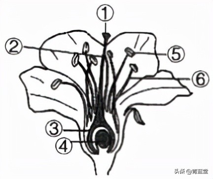 2021年黑龙江省龙东地区中考生物试卷