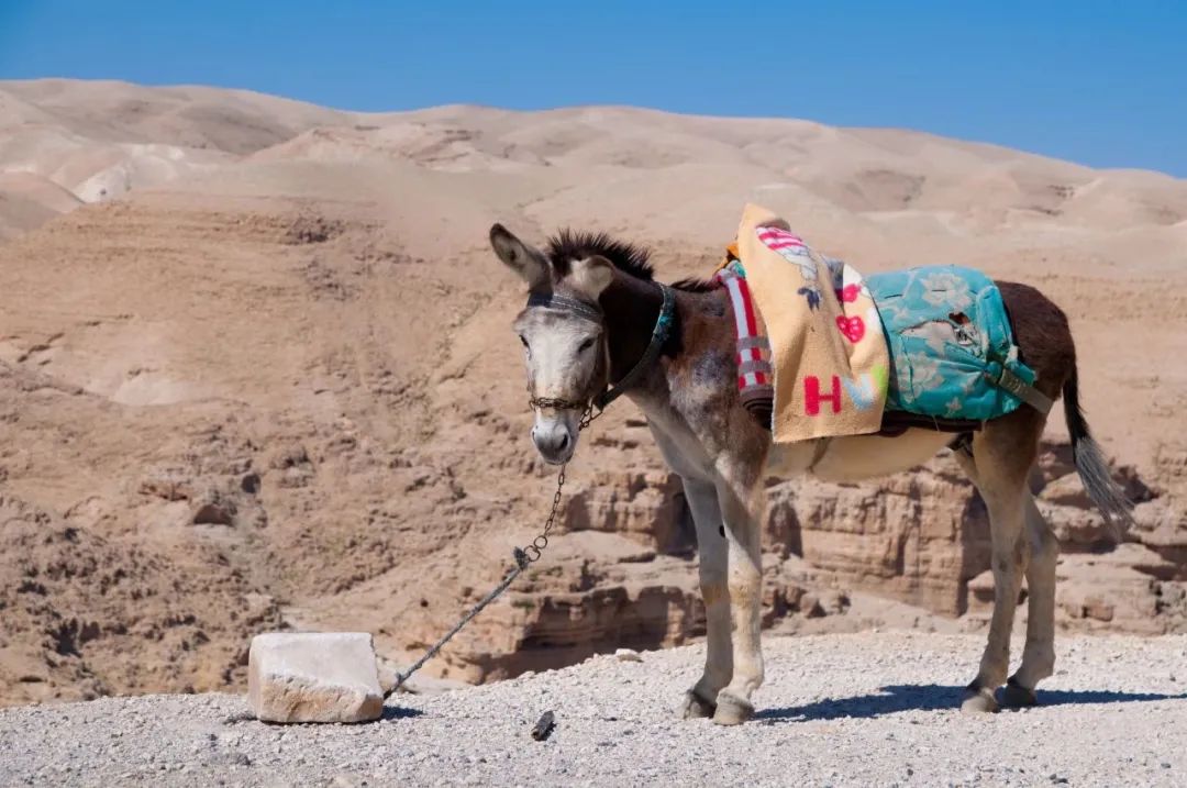 你几点下班英文怎么说,下班英文单词怎么说