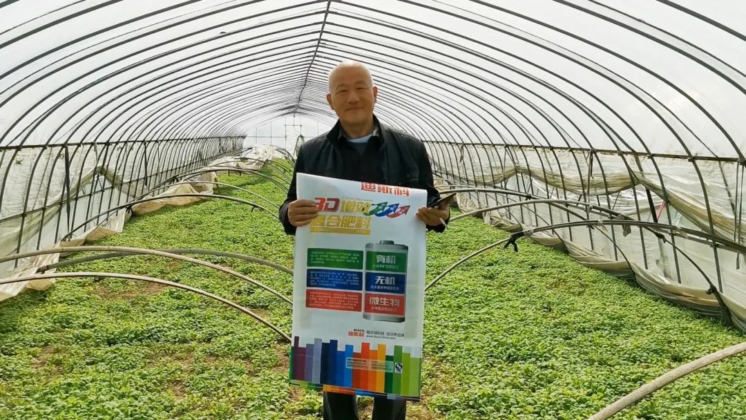 好产品、好服务、好口碑，迪斯科让大家都有好收益