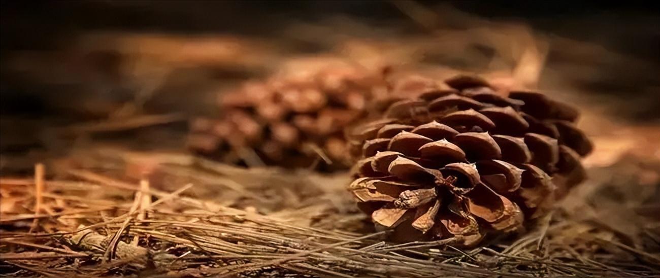 经典的4组配色穿对了显白又显贵,这些颜色穿在一起显白又高级